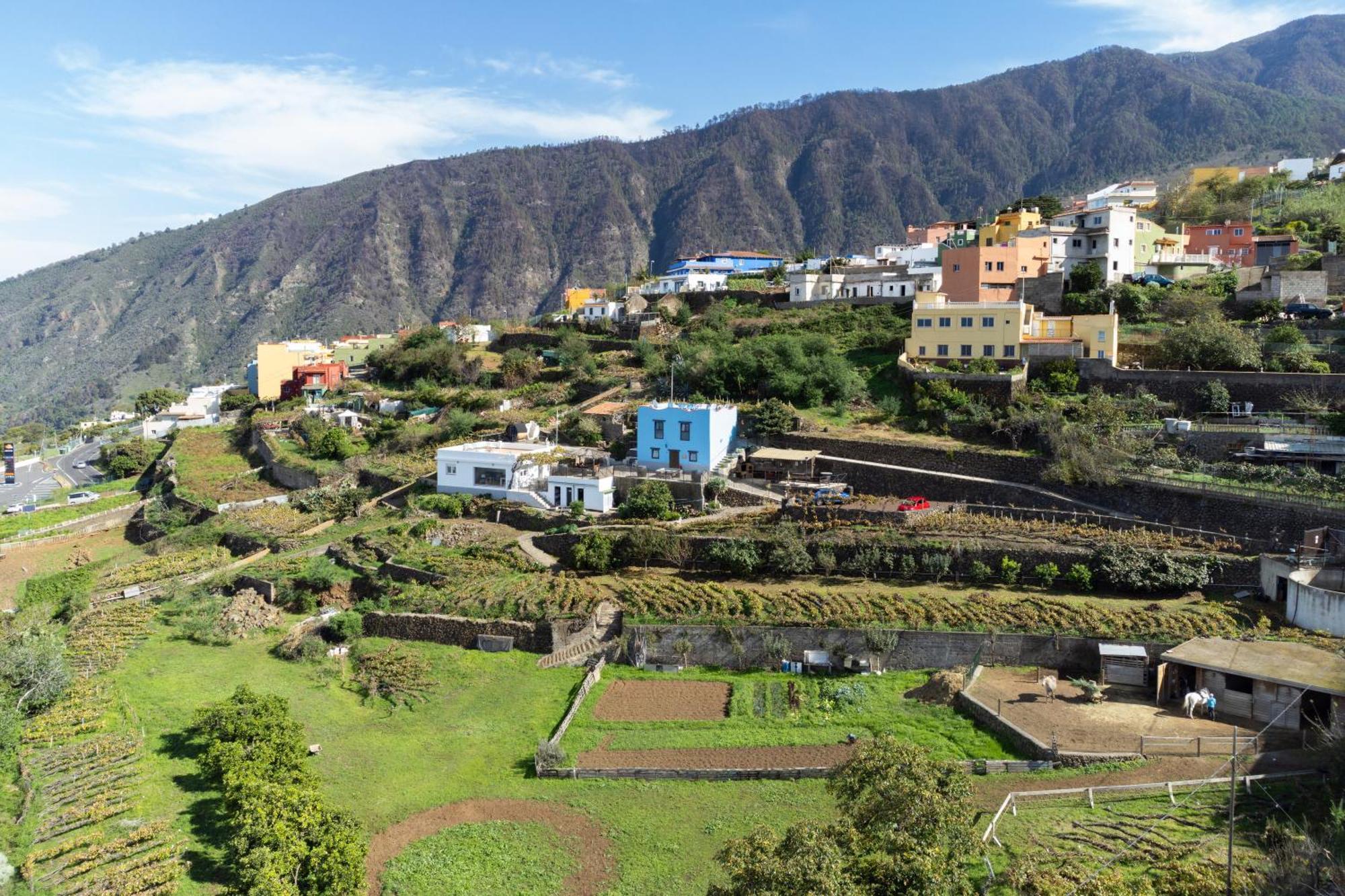 Ek Teide Finca El Milagro Ла-Оротава Екстер'єр фото