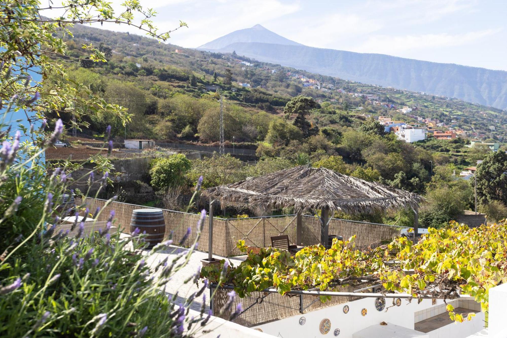 Ek Teide Finca El Milagro Ла-Оротава Екстер'єр фото